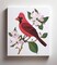Wild Birds Paint by Numbers Kit for Adults Teens Beginners, DIY Painting Accessories, Brushes Acrylic Paints, Stretched Canvas